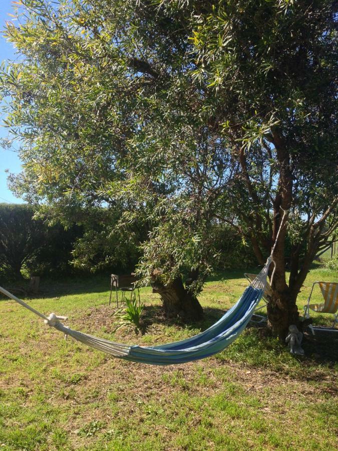 Quintinha Mojud Bed & Breakfast Rogil Bagian luar foto
